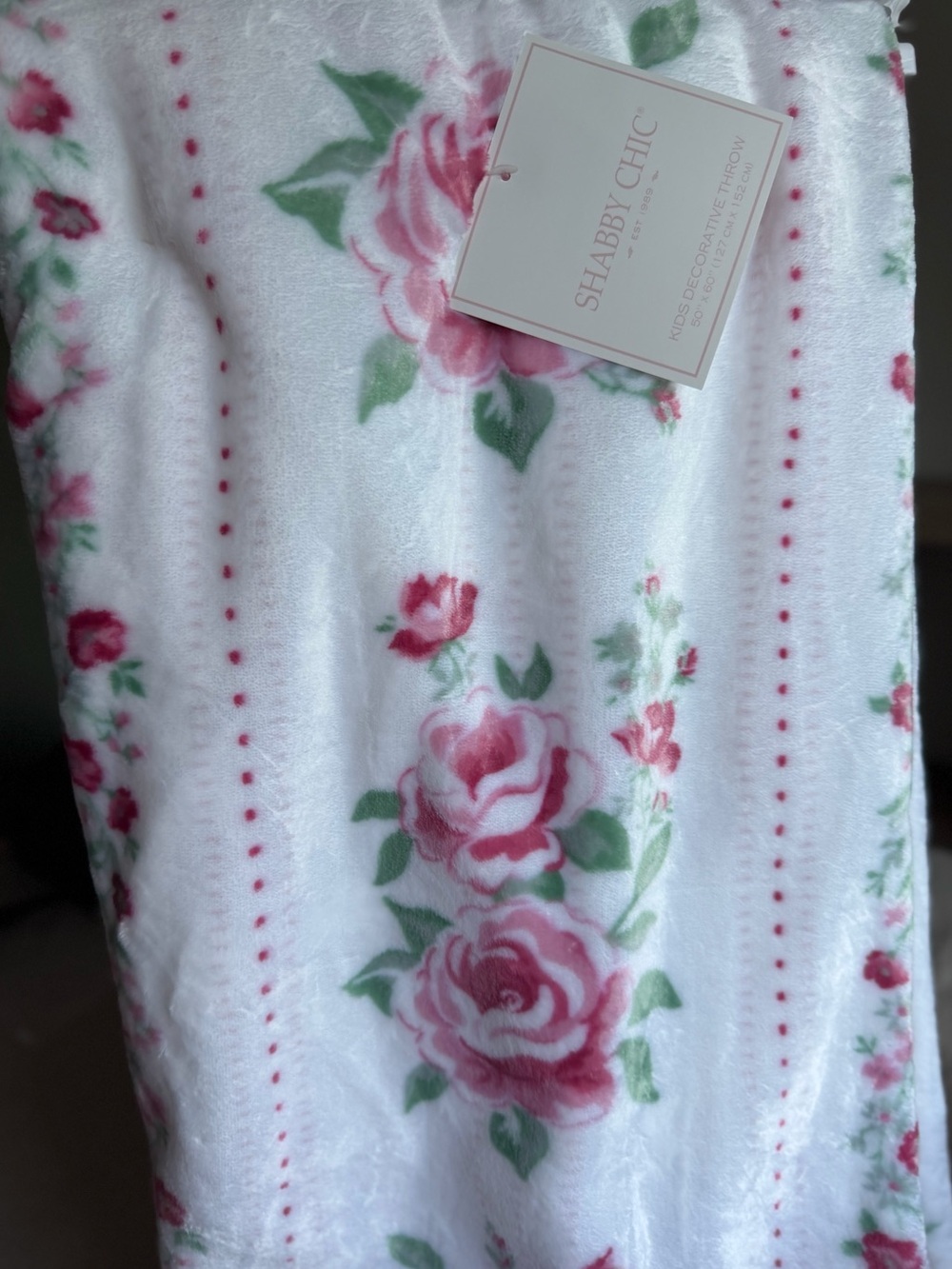 FARMHOUSE RACHEL ASHWELL SHABBY CHIC ROSE GARDEN STRIPED WHIMSICAL THROW BLANKET